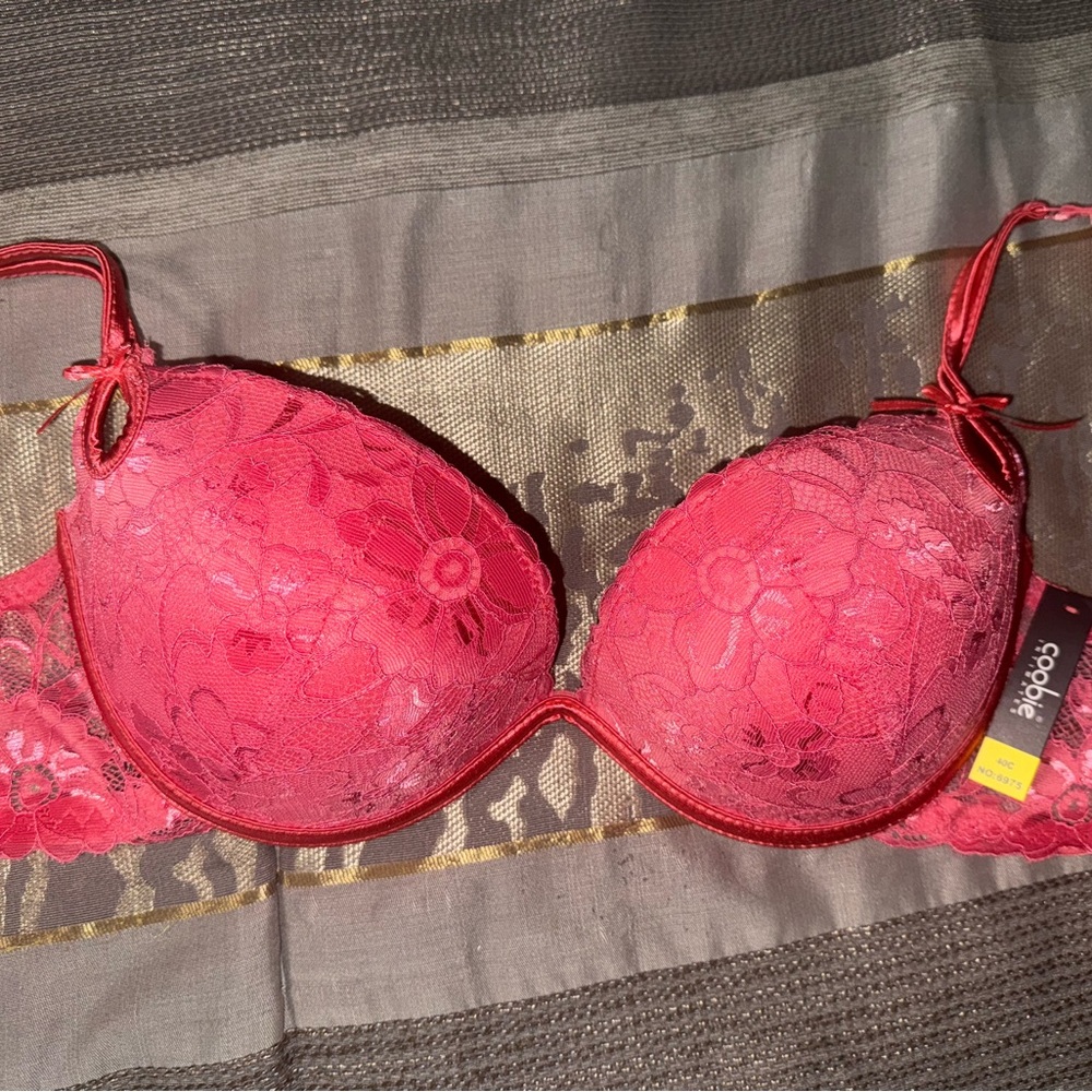 Pink Lace Bra